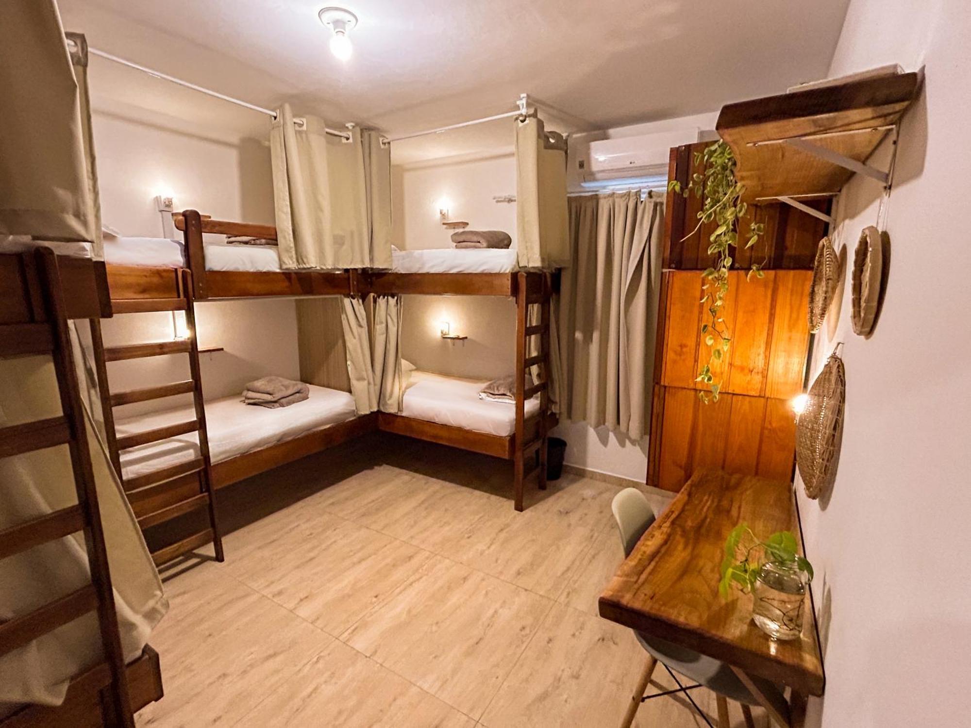 Babitonga Hostel - 100M Da Prainha Сан-Франсиску-ду-Сул Экстерьер фото